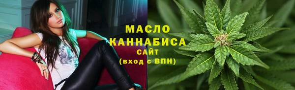 шишки Горно-Алтайск
