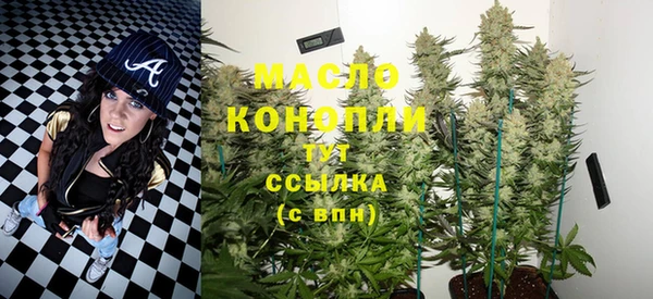 шишки Горно-Алтайск