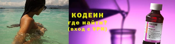 шишки Горно-Алтайск