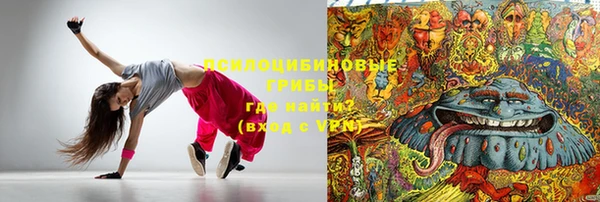 шишки Горно-Алтайск