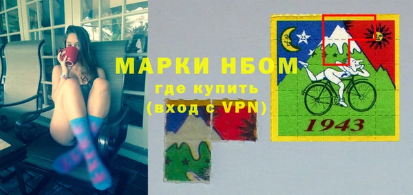 шишки Горно-Алтайск