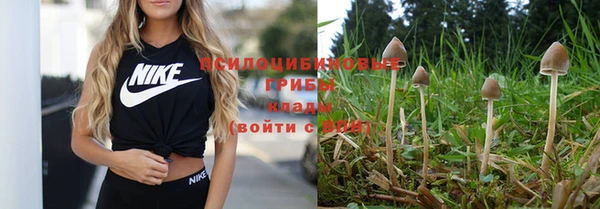 хмурый Гусь-Хрустальный