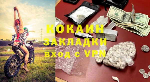 шишки Горно-Алтайск
