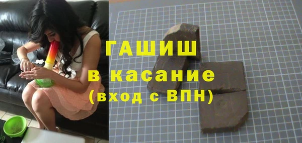 шишки Горно-Алтайск
