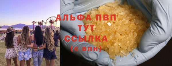 шишки Горно-Алтайск