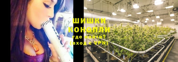 шишки Горно-Алтайск